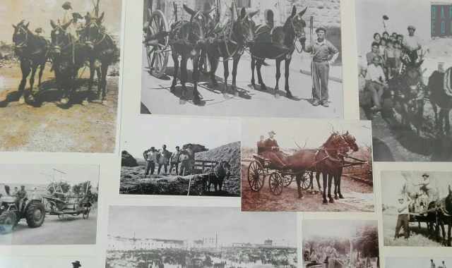 Dallo "sciaraball" alla "vignarol": ecco gli antichi carri protagonisti della sfilata di Corato 